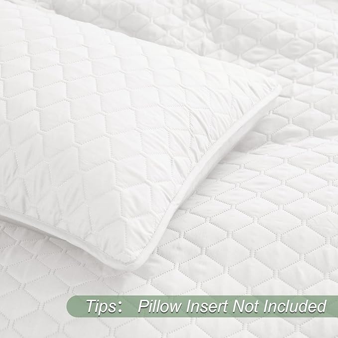 Pillow Insert Guide: How to Choose the Perfect Filling