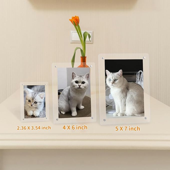 How to Create a Personalized Photo Wall