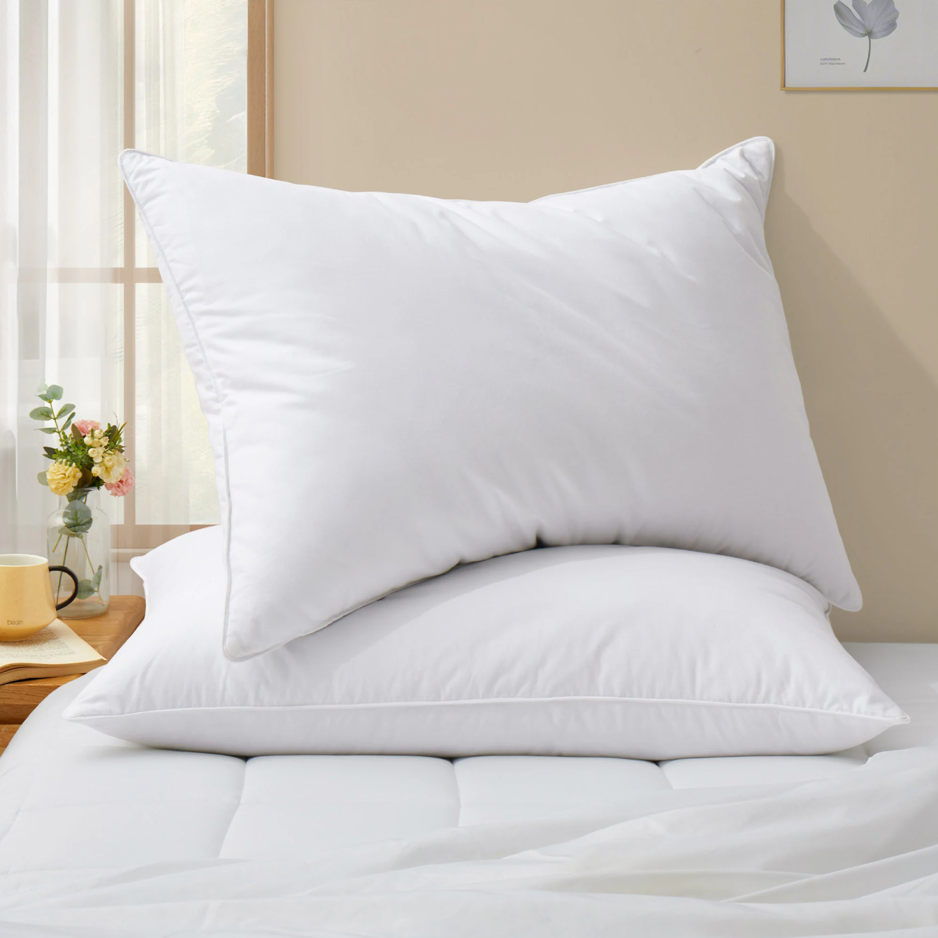 Decorative Cushions & Bed Pillows