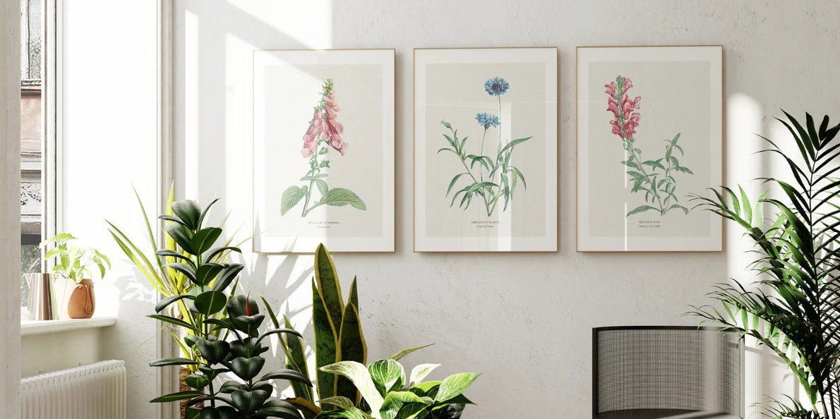 Framed Prints