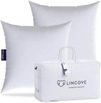 Lincove Euro Throw Pillow Insert Square 17"x17" Pillow – Made in Canada, 100% Cotton Shell, Down Alternative Filling, Vegan-Friendly, Hypoallergenic - Decorative Couch Pillows, 2 Pack