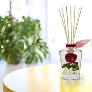 LOVSPA Reed Diffuser Sticks, Set of 80 Wood Rattan Replacement Reed Sticks for Diffuser Oil Bottles, 10 Bundles of 8 (8 inch)