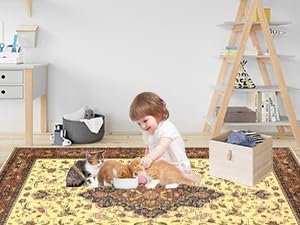 Topllen Washable Area Rug - 5'x7' Boho Living Room Rug, Non-Slip Soft Rugs Indoor for Bedroom Dining Room Office, Vintage Throw Large Carpet Stain Resistance (Red, 5x7ft)