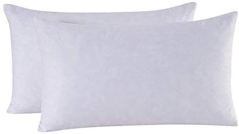 Throw Pillow Inserts, Set of 2 Down Feather Pillows Inserts Bed and Couch Pillows Cotton Cover, 12x20 Inches