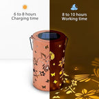 Solar Lanterns Outdoor Waterproof, Hummingbird Birthday Gifts for Women Men, Hanging Solar Lantern for Yard, Patio, Porch, Backyard, Landscape, Garden Decor