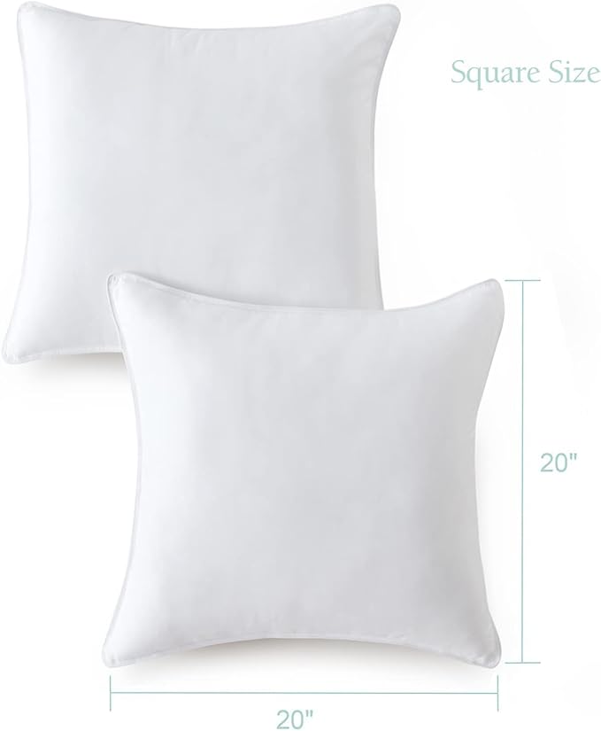 Throw Pillow Inserts 20 x 20 in Set of 2 for Couch and Sofa, Soft Fluffy Square Form Down Alternative Cushion Decorative Pillow Inserts