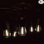 Hometown Evolution, Inc. 50 Foot E26 LED Outdoor Commercial String Lights with 25 Suspended Sockets and S14 LED Filament 1 Watt Bulbs