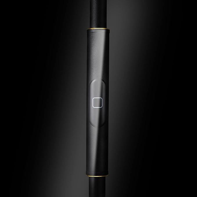 JOOFO Floor Lamp,30W/2400LM Sky LED Modern Torchiere 3 Color Temperatures Super Bright Floor Lamps-Tall Standing Pole Light with Remote & Touch Control for Living Room,Bed Room,Office (Black-Gold)