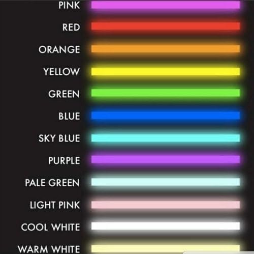 Panda Neon Sign Panda Neon Light