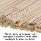 Urban Naturals Lavender Fields Oil Essential Oil Reed Diffuser Set with Real Lavender Stems! French Blossoms, Geranium & Clary Sage | #1 Gift Idea for Aromatherapy & Stress Relief | Vegan | USA Made