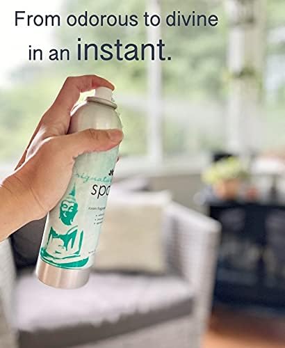 Room Fragrance Air Freshener Spray Concentrated Bathroom, Kitchen, Car, or Office Deodorizer, U.S.- Made by AP Fragrance (Bachelor)