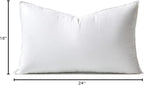 MIULEE 16x24 Down Alternative Pillow Insert Decorative Throw Pillow 16 x 24 Inch Body Bed Sleeping Ultra Soft Fluffy Form for Sofa Couch Bed