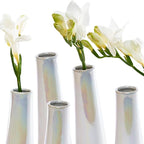 Chive - Set of 6 Galaxy, 1.5" in Wide 5.5" Tall Small Cylinder Ceramic Bud Flower Vase, Unique Single Flower Decorative Floral Vase for Home Decor, Bulk (Pearl White)