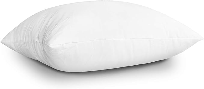 EDOW Throw Pillow Inserts, Set of 2 Lightweight Down Alternative Polyester Pillow, Couch Cushion, Sham Stuffer, Machine Washable. (White, 22x22)
