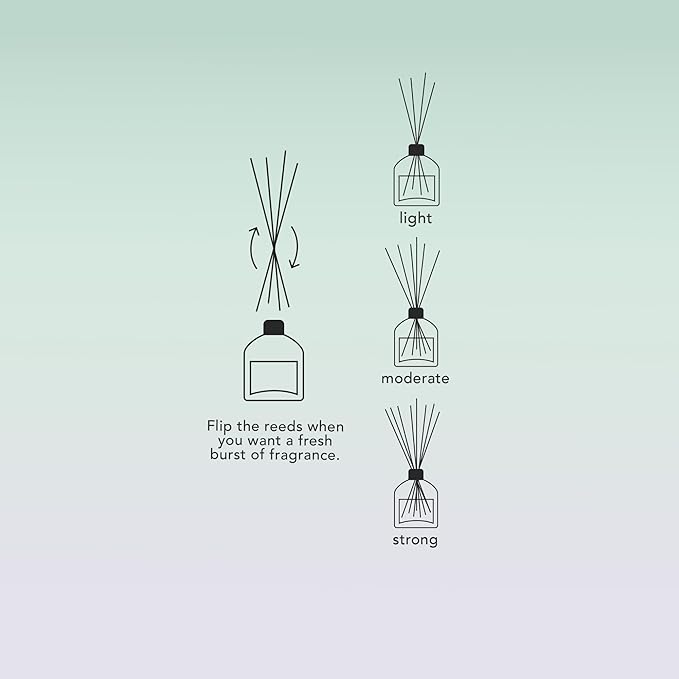 Ash & Iron Fresh Horizon Luxury Reed Diffuser, Crisp Alpine Air & Cactus Blossom Fragrance, 125mL, 3-Month Duration, Nature's Freshness Meets Floral Warmth