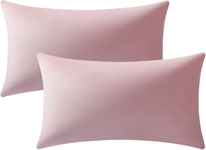 12x20 Throw Pillow Covers Pink: 2 Pack Cozy Soft Velvet Rectangular Decorative Pillow Cases for Farmhouse Home Decor