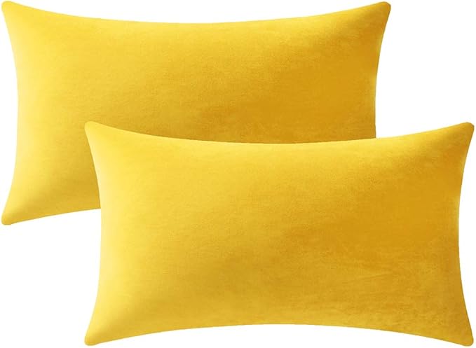 Couch Pillow Covers 12x20 Yellow: 2 Pack Cozy Soft Velvet Rectangular Throw Pillow Cases for Farmhouse Home Decor