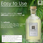 Nabila K Fir & Pine Reed Diffuser Set – Evergreen Aromatic Oil for Home – Long-Lasting, Smokeless Scent – Made in USA – Includes Reeds + Bottle – Flameless Candle Alternative