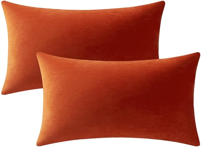 Fall Couch Pillow Cases 12x20 Burnt Orange: 2 Pack Cozy Soft Velvet Rectangular Throw Pillow Covers for Farmhouse Home Decor