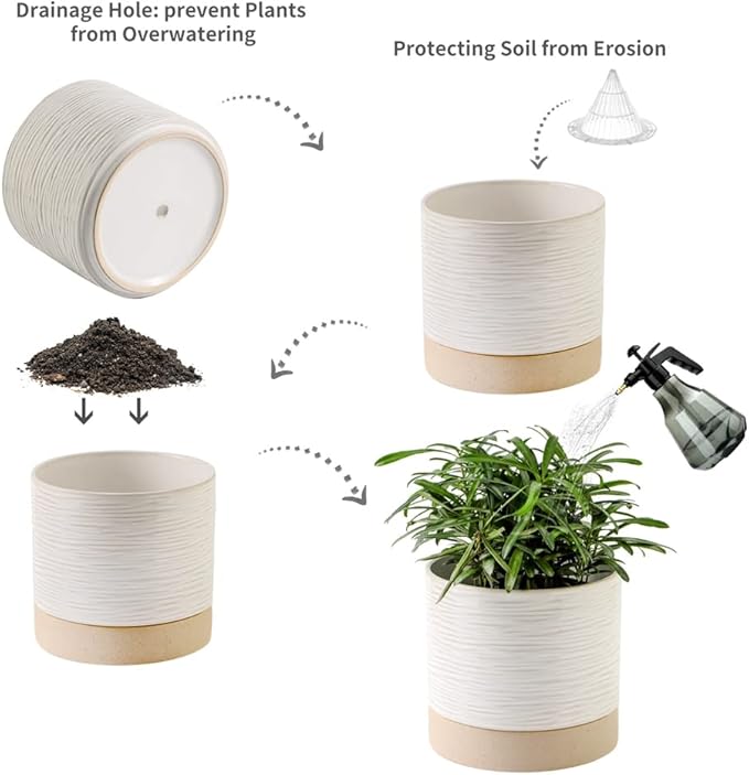 Nihow Ceramic Plant Pot: 6 Inch Planter with Drainage Hole & Saucer for Indoor & Outdoor Plants - Cylinder Round Flower Pot for Succulent/Herbs/Violets - Cream White & Brown