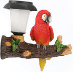 ParrotTree Hugger with Solar Lantern Outdoor Garden Hanging Statues Fence Solar Lights Ideal Parrot Housewarming&Birthday Gifts for Grandma Mom Women