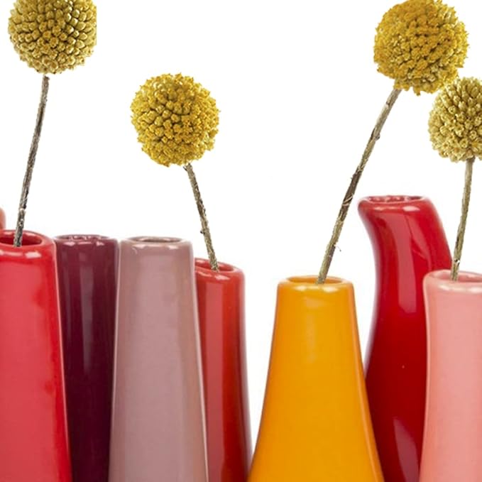 Chive - Pooley 2, Ceramic Flower Vase, 8-Tube Shape (Pumpkin)