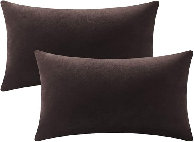 Decorative Pillow Cases 12x20 Chocolate Brown: 2 Pack Cozy Soft Velvet Rectangular Throw Pillow Covers for Farmhouse Home Decor