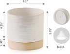 Nihow Ceramic Plant Pot: 6 Inch Planter with Drainage Hole & Saucer for Indoor & Outdoor Plants - Cylinder Round Flower Pot for Succulent/Herbs/Violets - Cream White & Brown