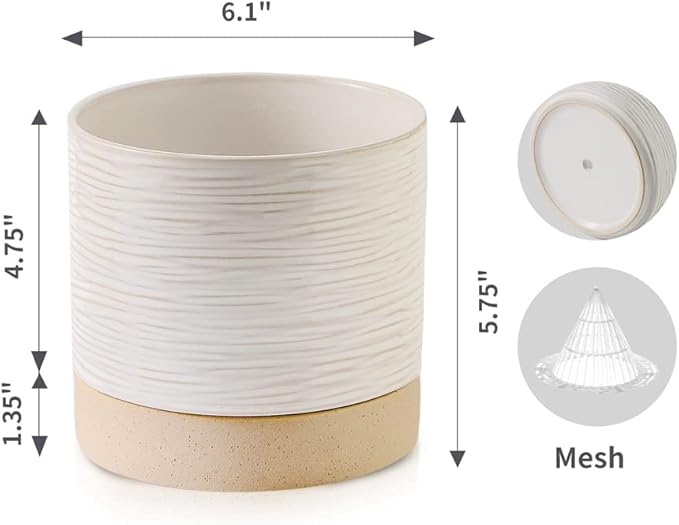Nihow Ceramic Plant Pot: 6 Inch Planter with Drainage Hole & Saucer for Indoor & Outdoor Plants - Cylinder Round Flower Pot for Succulent/Herbs/Violets - Cream White & Brown