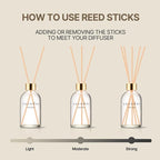 COCODOR Herbarium Reed Diffuser/White Jasmine/6.7oz(200ml)/ Fragrance Scent Essential Oil Stick Diffuser Set for Bedroom Bathroom Home Décor