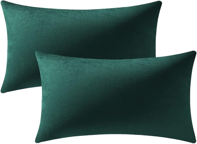 Decorative Pillow Covers 12x20 Green: 2 Pack Cozy Soft Velvet Rectangular Throw Pillow Cases for Farmhouse Home Decor