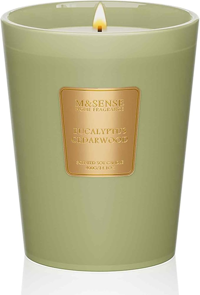 M&SENSE Eucalyptus Cedarwood Scented Natural Soy Wax Candle, 14.1oz 60 Hours Long Lasting Slow Burning Candles for Home Decor, Aromatherapy Candle for Stress Relief