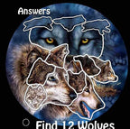 Remorelt Wolf Eagle Bear Dream Catcher Bedroom Wall Decor, Christmas Home Decoration, Room Accessory, White Moon Feather Decoration - Unique Home Craft Wall Pendant (DC08 6Inch Find 12 Wolves)