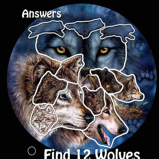 Remorelt Wolf Eagle Bear Dream Catcher Bedroom Wall Decor, Christmas Home Decoration, Room Accessory, White Moon Feather Decoration - Unique Home Craft Wall Pendant (DC08 6Inch Find 12 Wolves)