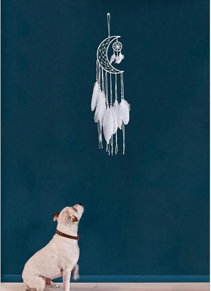 Dremisland Dream catcher New Moon Design Handmade White Feather Wall Hanging Home Decoration Ornament Craft Gift (White Moon)