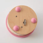 RUYU Wooden Music Box,Musical Box Swan Toy Decoration Birthday Present for Lover Friends and Children,Pink