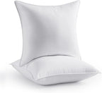 Throw Pillow Inserts 20 x 20 in Set of 2 for Couch and Sofa, Soft Fluffy Square Form Down Alternative Cushion Decorative Pillow Inserts