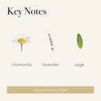 LAFCO New York 3-Wick Candle, Chamomile Lavender - 30 oz - 120-Hour Burn Time - Reusable, Hand Blown Glass Vessel - Made in The USA