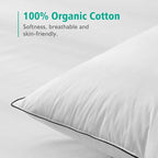 APSMILE Organic Feather Down Pillows Set of 2, Queen Size Bed Pillows for Sleeping with 100% Cotton Cover, 3-Chamber Hybrid Feather Down Core Pillow Surrounded by Polyester, 20x30 Inches