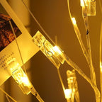 2 Pack Money Tree Gift Card Holder- DIY Birch Tree Lamp with 12 Clips and 24 Twig LEDs, Display Money Cash Photo for Birthday Christmas Home Party Festival Wedding (Warm 2Pack)