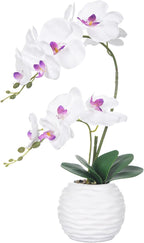 Artificial Potted Orchid Faux Phalaenopsis Silk Flowers Bonsai Realistic Arrangement in Ceramic Vase for Home Decoration Table Centerpiece, White