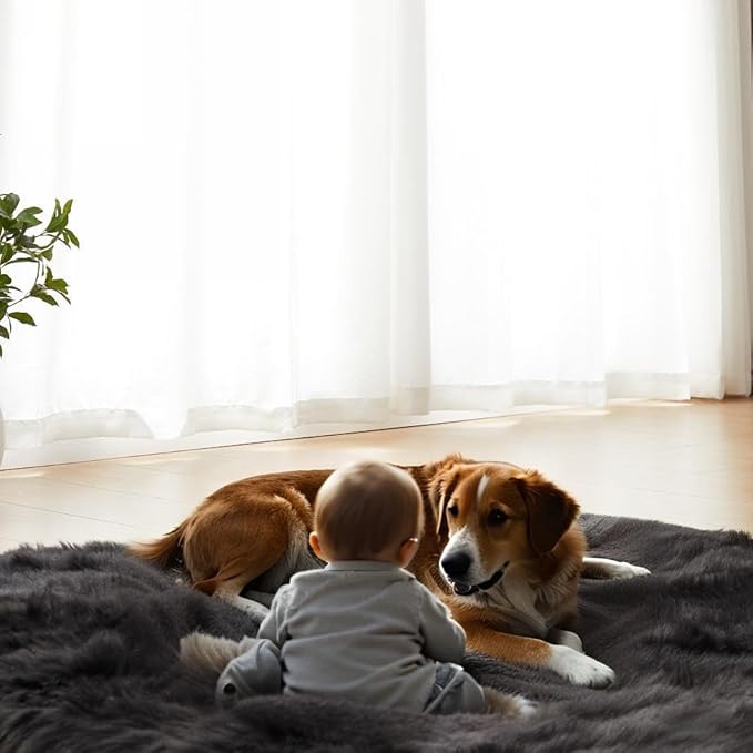 AMTOVO Faux Fur Sheepskin Rug for Living Room, 4 x 6 ft Black Fluffy Area Rug for Bedroom, Playroom, Luxury Room Decor, Rectangle