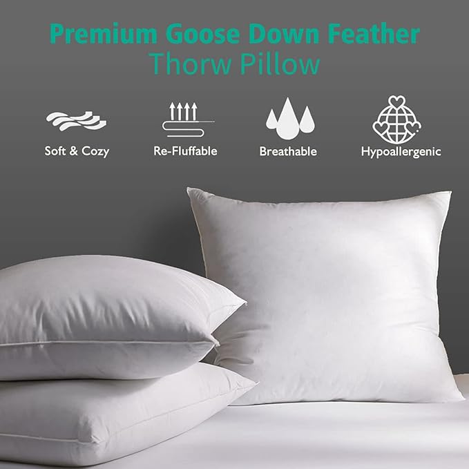 APSMILE Organic 20x20 Feather Down Throw Pillow Inserts Set of 2, 100% Cotton Fabric, Soft Fluffy Square Decorative Pillow Form Core for Sofa, Bed, Couch, Cushion Sham Stuffer