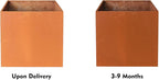 Corten Steel Planter Box Metal Square Planters Steel Large Planter Outdoor Tall Plant Durable Antique Detached for Commercial Residential Patio Deck and Backyard 26 Inch