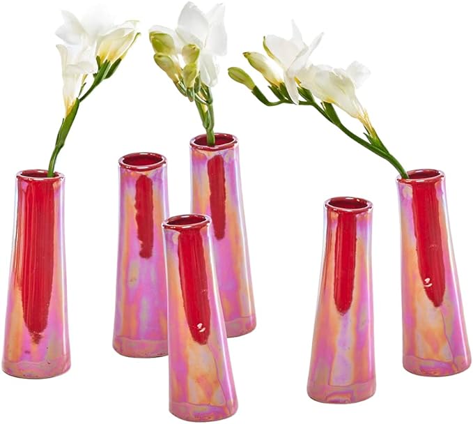 Chive - Set of 6 Galaxy, 1.5" in Wide 5.5" Tall Small Cylinder Ceramic Bud Flower Vase, Unique Single Flower Decorative Floral Vase for Home Decor, Bulk (Ginger Red)