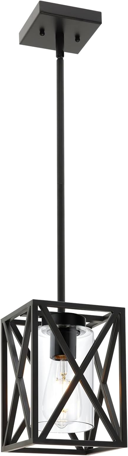 TODOLUZ 1-Light Farmhouse Pendant Light Black Cage Hanging Ceiling Lights with Clear Glass Shade for Kitchen Hallway Dining Room Foyer Bedroom