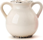 LUKA Antique Ceramic Vase with 2 Handle,6.4 inches Ice Cracked Rustic Vase Minimalist Decor, Decorative Vases for Home Decor, Table, Living Room, Shelf, Christmas Decoration(Small,Ice Cracked White)