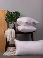 Lincove Euro Throw Pillow Insert Square 20"x20" Pillow – Made in Canada, 100% Cotton Shell, Down Alternative Filling, Vegan-Friendly, Hypoallergenic - Decorative Couch Pillows, 2 Pack