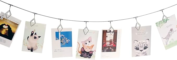 TFu Wall Hanging Photo Display, DIY Picture Photo Frame String with 12 Clips for Hanging Photos Notes and Artworks …