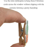 HAHIYO Cactus Painted Mini Wooden Clothespin Clip with 6.56 Feet Jute Twine Photo Paper Holders 1.38inch Tight Clamp Not Fray Rope Post Notices Handy Read for Hanging Postcard Wedding 20PCS